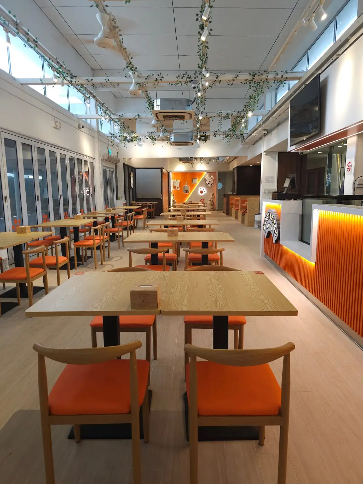 Bailey & Patch Highlight 2