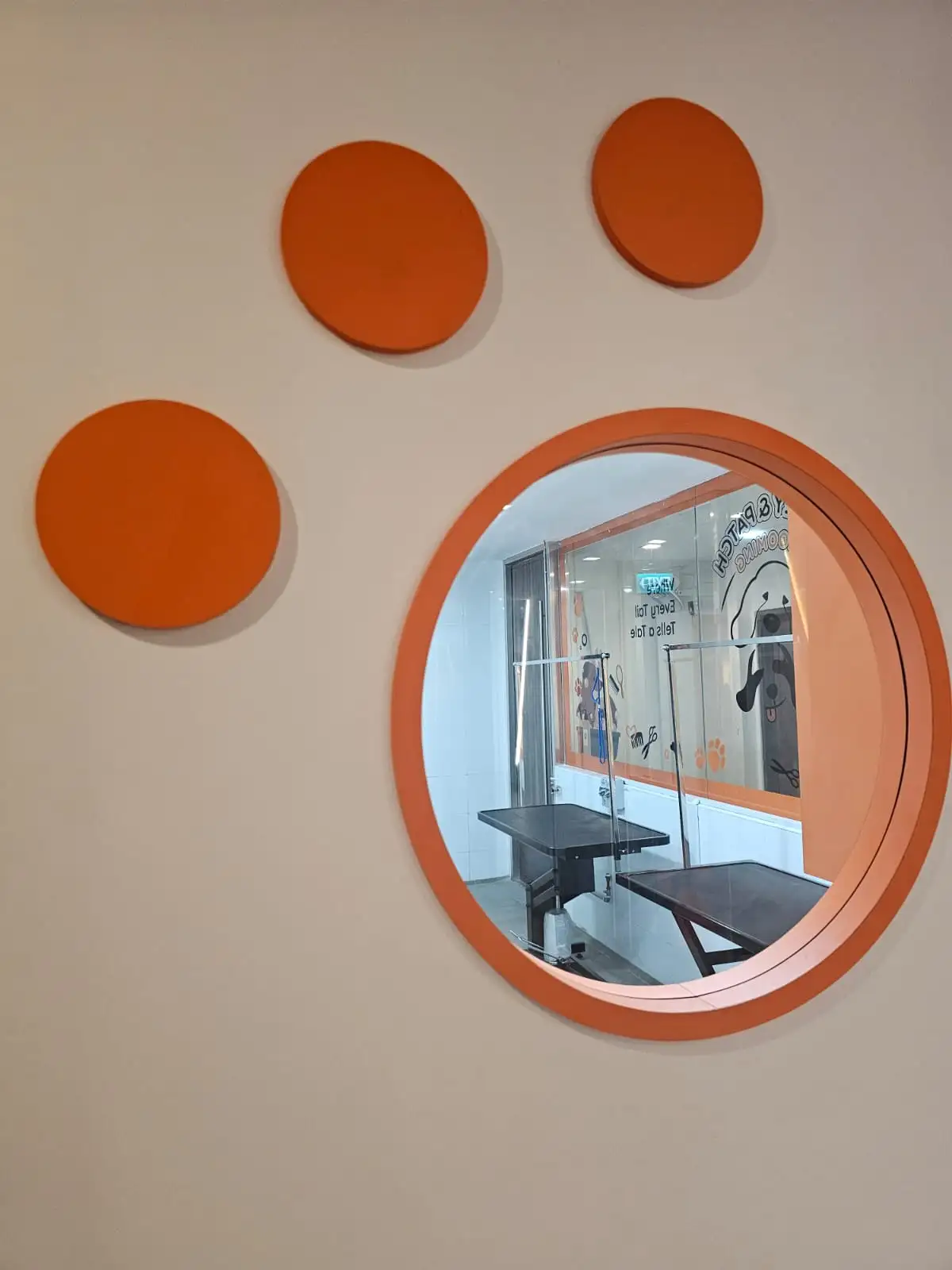 Bailey & Patch Highlight 4